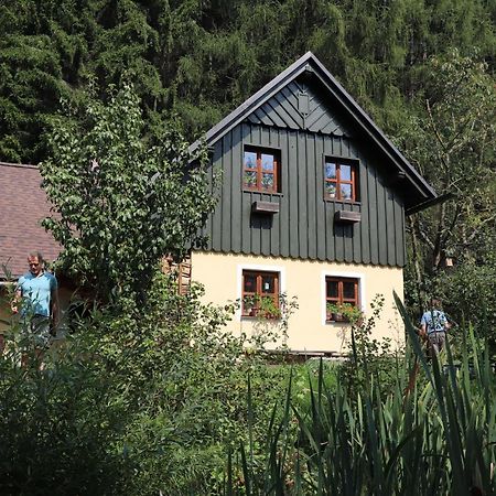 Villa Privat No. 2 Adršpach Exterior foto